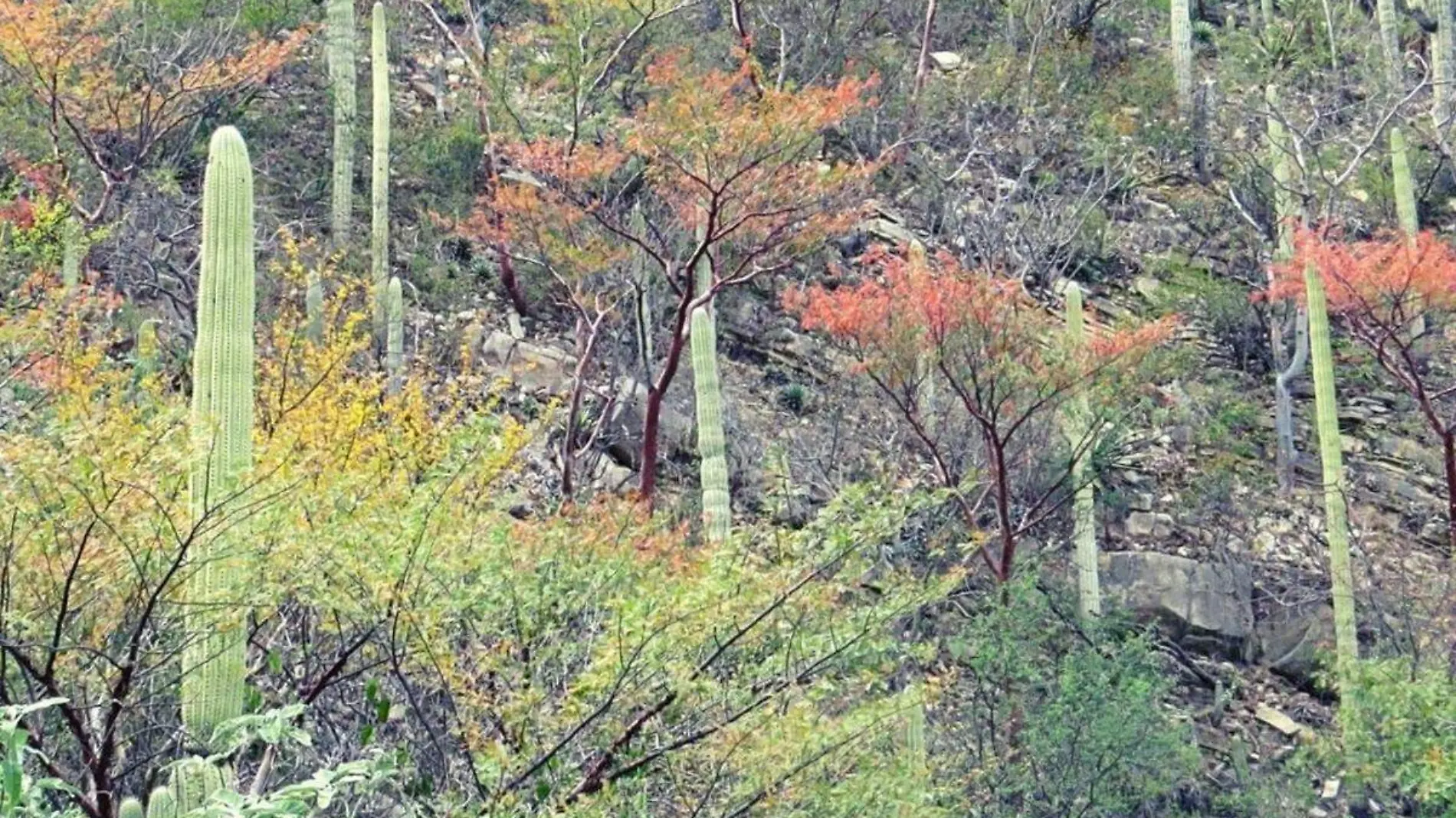 reserva de la biosfera